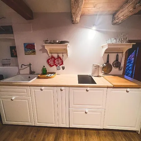 Holy View 公寓 博尔扎诺